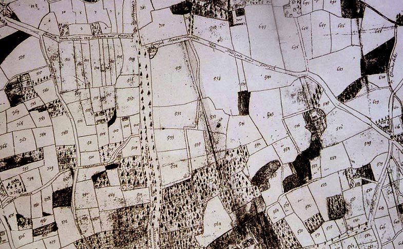 De Oude Heirweg, aan beide zijden geflankeerd door bomen, op het grondgebied van Dadizele. Fragment Landboek van Dadizele, gemaakt in 1725 door de Ledegemse landmeter G. Berghman.