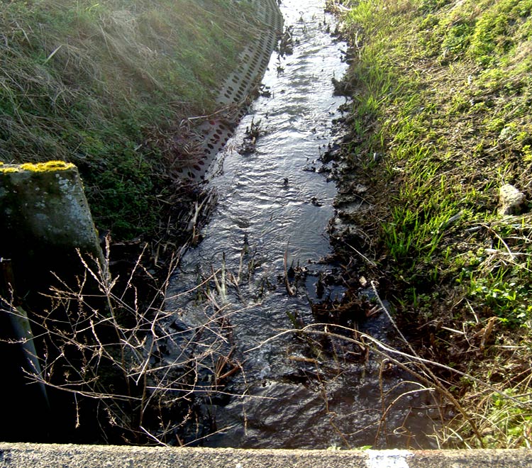 De Papelandbeek (Foto: Linda Malfait).