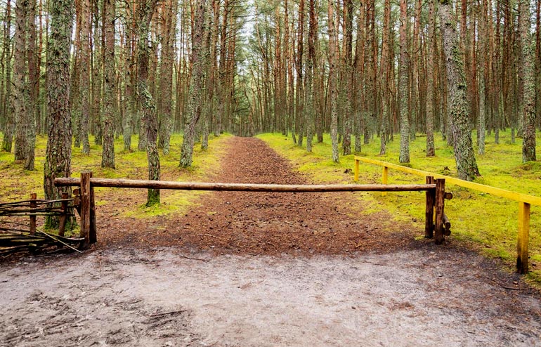 Onbemande houten slagboom voor een bosweg.