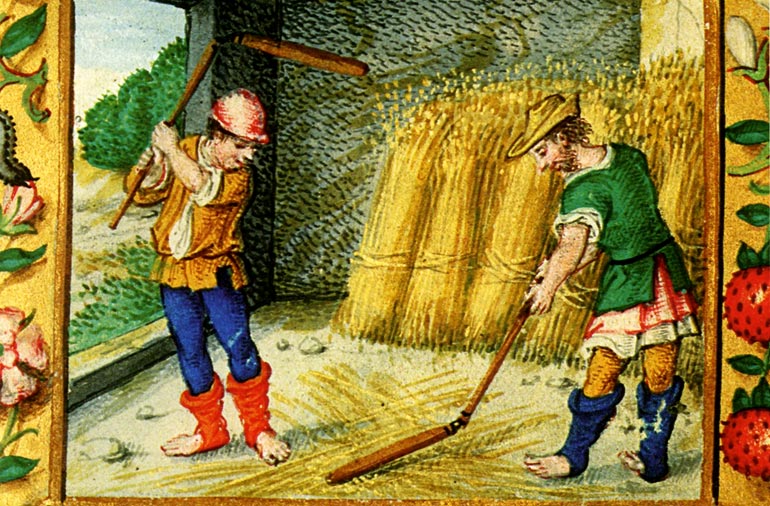 De dorsvloer.Het dorsen van de tarwe met vlegels. Miniatuur in getijdenboek, 1525.