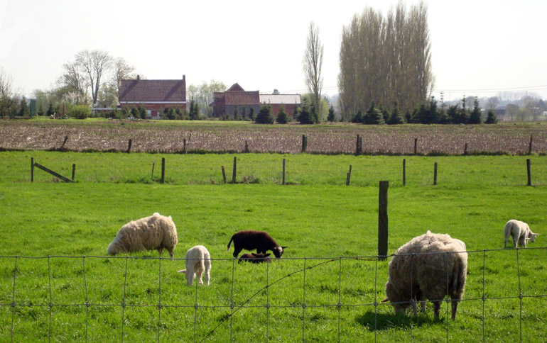 Hoeve. Tuimelarestraat 40 (foto: Linda Malfait).