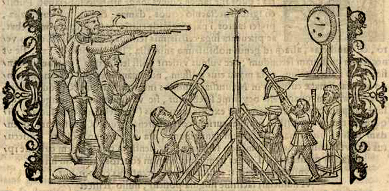 Papegaaischieten. Schutters die met (kruis)boog schieten naar een houten vogel (papegaai), bevestigd bovenop een staande wip. Andere met geweer naar een staande schietschijf op ooghoogte. Olaus Magnus. Houtsnede, 1555 (Geschiedenis van de Noordse volkeren). 