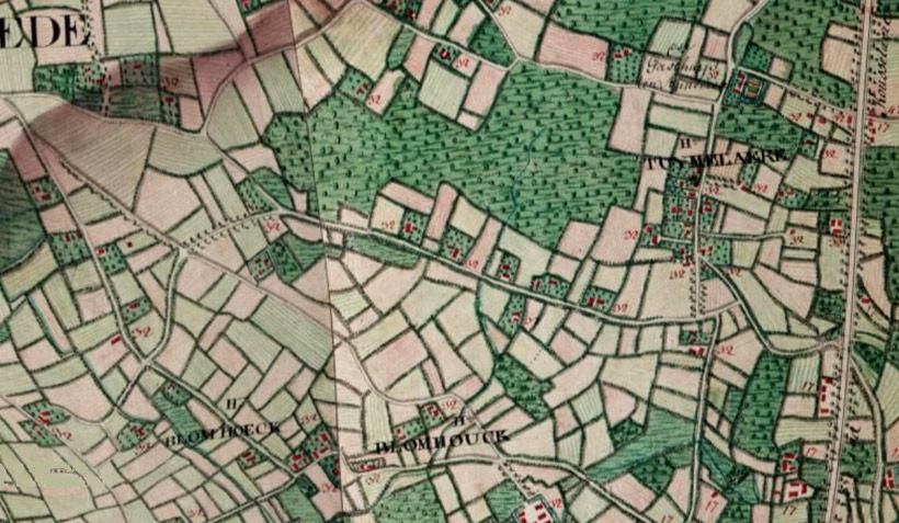 De Tuimelarestraat op de Ferrariskaart van 1777 (Bron: Geopunt Vlaanderen).